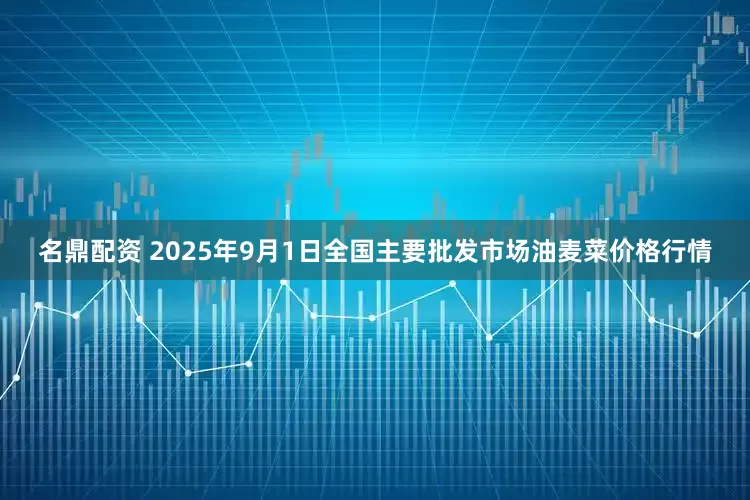 名鼎配资 2025年9月1日全国主要批发市场油麦菜价格行情